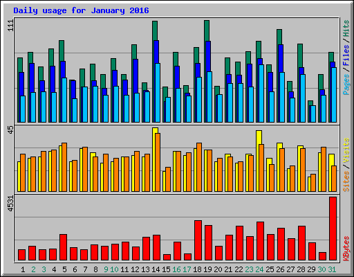 Daily usage for January 2016