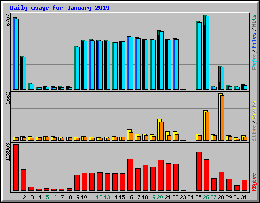 Daily usage for January 2019