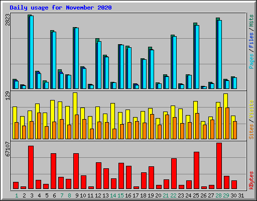 Daily usage for November 2020