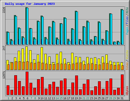 Daily usage for January 2023