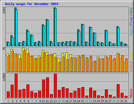 Daily usage for December 2024