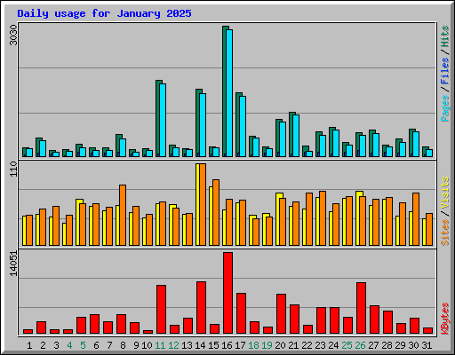 Daily usage for January 2025