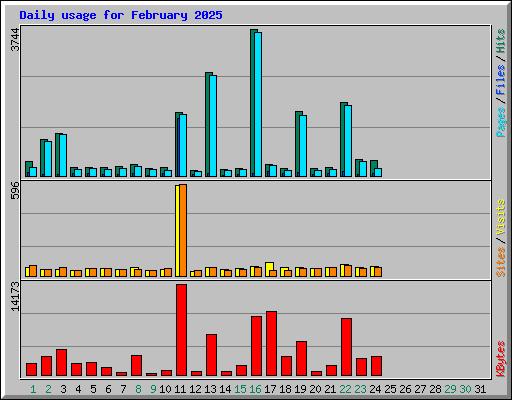 Daily usage for February 2025