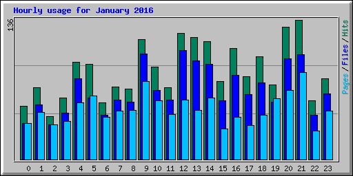 Hourly usage for January 2016