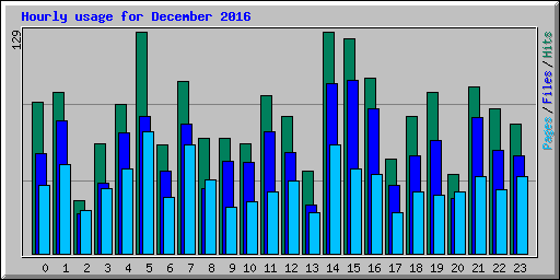 Hourly usage for December 2016