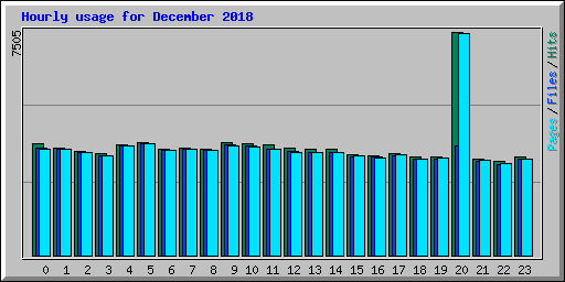 Hourly usage for December 2018