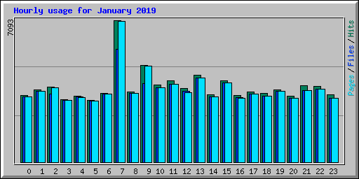 Hourly usage for January 2019