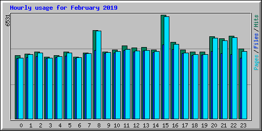 Hourly usage for February 2019