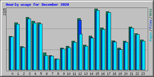 Hourly usage for December 2020