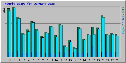 Hourly usage for January 2023
