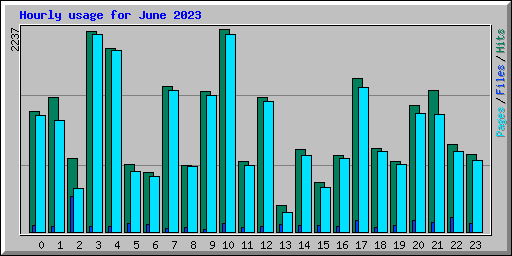 Hourly usage for June 2023