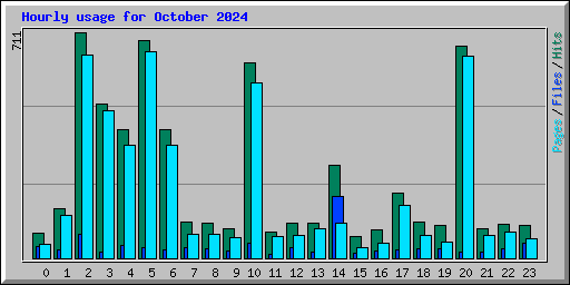 Hourly usage for October 2024