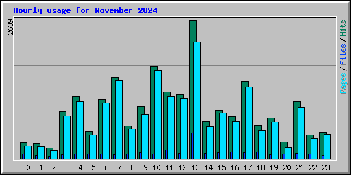 Hourly usage for November 2024
