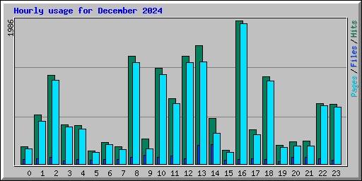 Hourly usage for December 2024