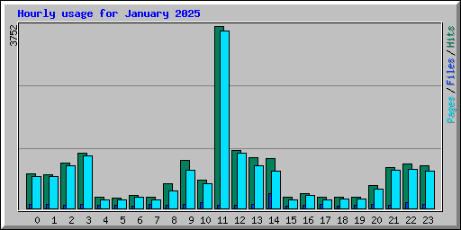 Hourly usage for January 2025