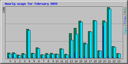 Hourly usage for February 2025